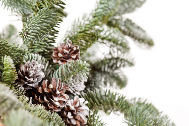 Similar image 2234012