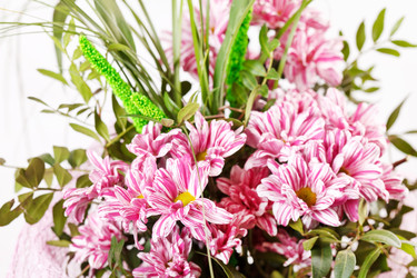 Similar image 2234018