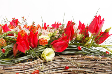 Similar image 2234021