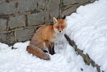 Similar image 2234049