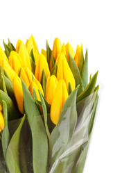 Similar image 2234053