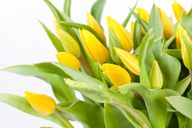 Similar image 2234055