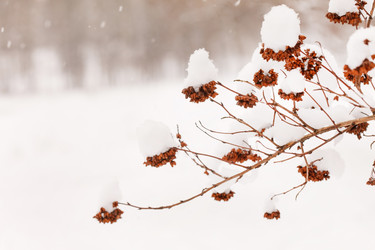 Similar image 2234061