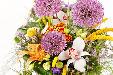 Similar image 2234068