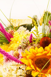 Similar image 2234070