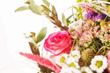 Similar image 2234073