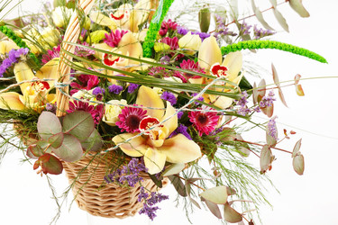 Similar image 2234082