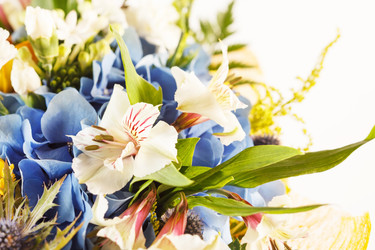 Similar image 2234085