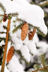 Similar image 2234091