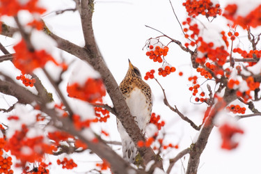 Similar image 2234093