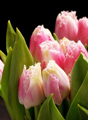 Similar image 2234098