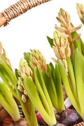 Similar image 2234100