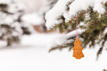 Similar image 2234099