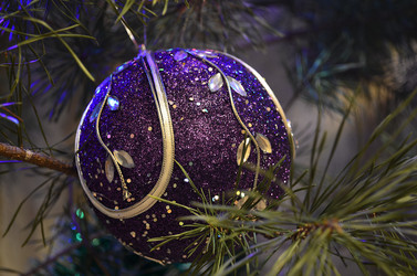 Similar image 2234172