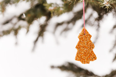 Similar image 2234207