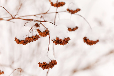 Similar image 2234208