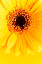 Similar image 2234304