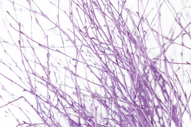 Similar image 2234311