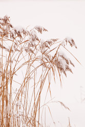 Similar image 2234330