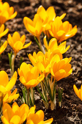 Similar image 2234341