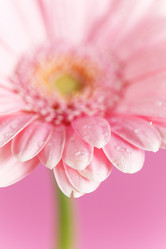 Similar image 2234346