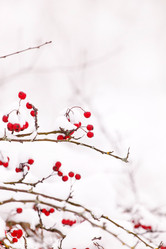 Similar image 2234367