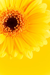 Similar image 2234401