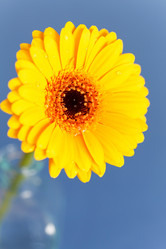 Similar image 2234441