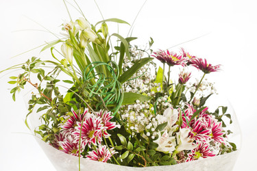 Similar image 2234486