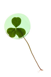 Similar image 2234492