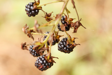 Similar image 2234494