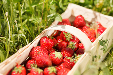 Similar image 2234500