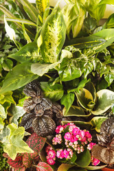 Similar image 2234549