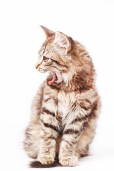 Similar image 2234576