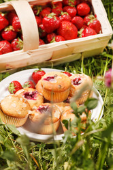 Similar image 2234604