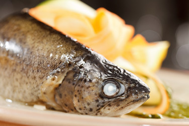 Similar image 2234647