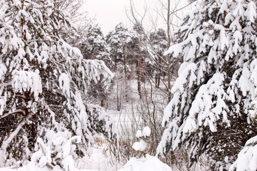 Similar image 2234668