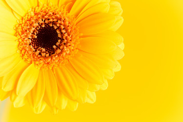 Similar image 2234672