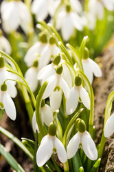 Similar image 2234682