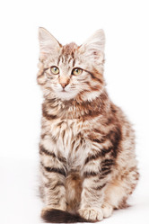 Similar image 2234698