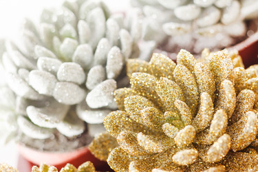 Similar image 2234707