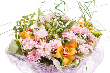 Similar image 2234710