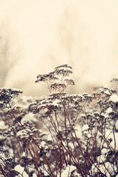 Similar image 2234746