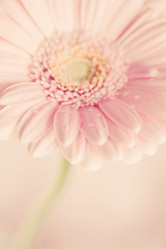 Similar image 2234772