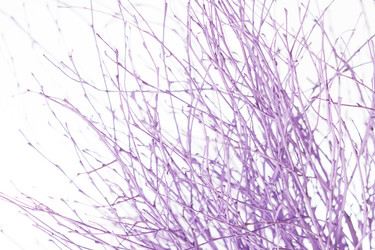 Similar image 2234782