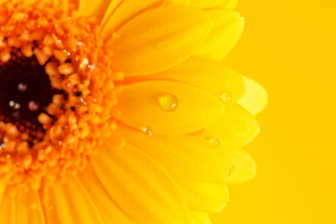 Similar image 2234780