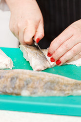 Similar image 2234797