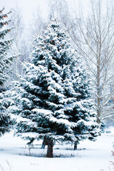 Similar image 2234843