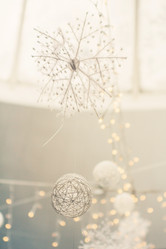 Similar image 2234892