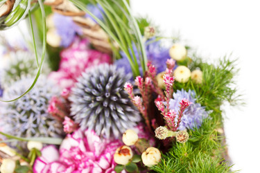 Similar image 2234924